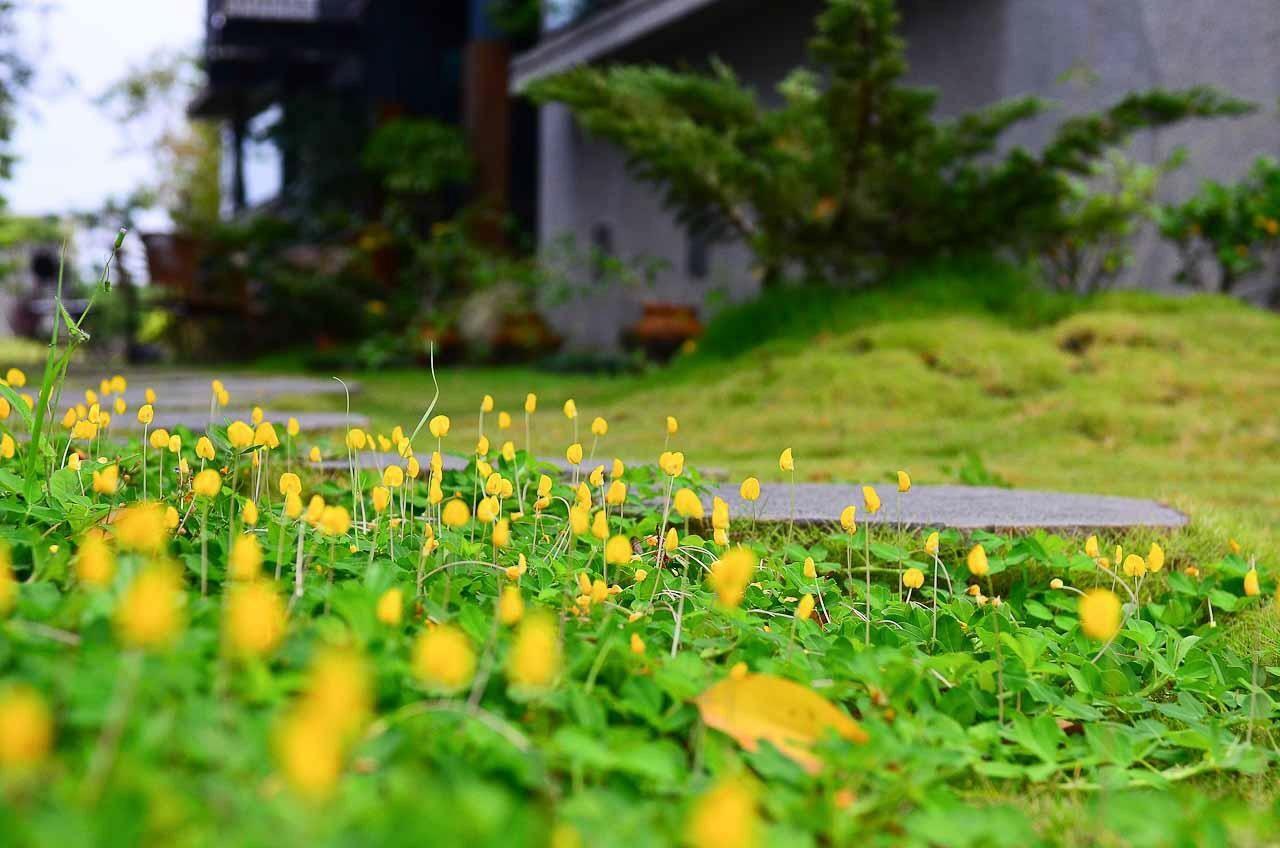 建築師 湧泉 泡湯 會館 Daire Dongshan  Dış mekan fotoğraf